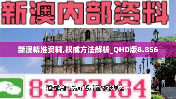 新澳精准资料,权威方法解析_QHD版8.856