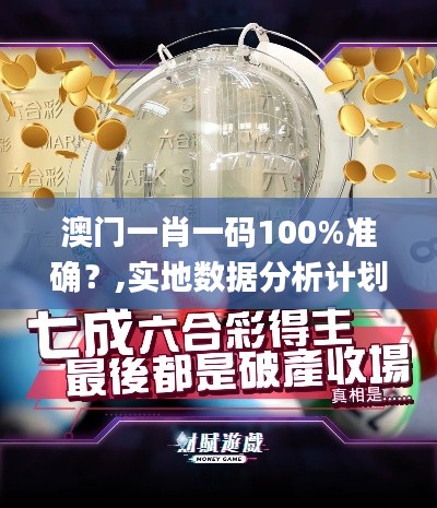 澳门一肖一码100%准确？,实地数据分析计划_V版2.712