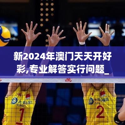 新2024年澳门天天开好彩,专业解答实行问题_2DM9.816