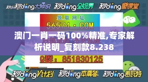 澳门一肖一码100%精准,专家解析说明_复刻款8.238
