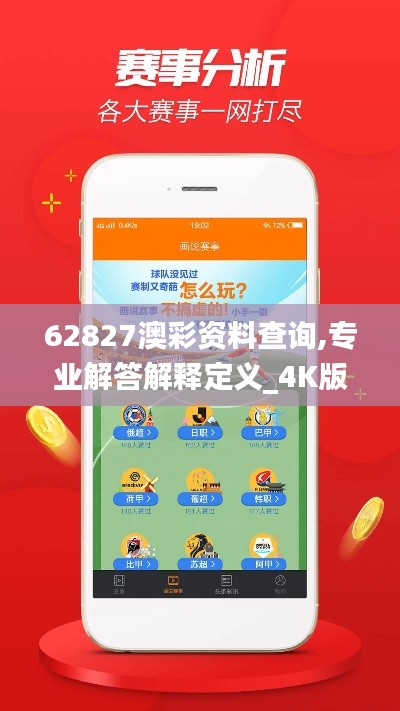62827澳彩资料查询,专业解答解释定义_4K版3.322