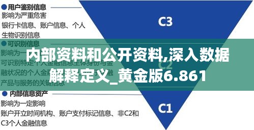 内部资料和公开资料,深入数据解释定义_黄金版6.861