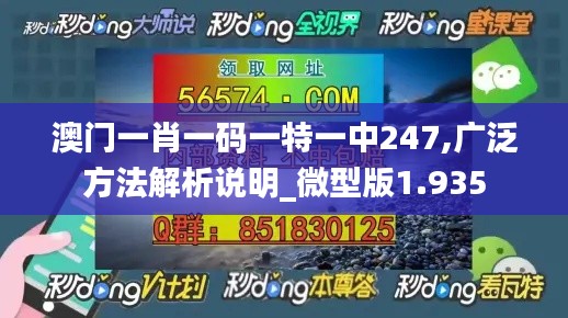 澳门一肖一码一特一中247,广泛方法解析说明_微型版1.935