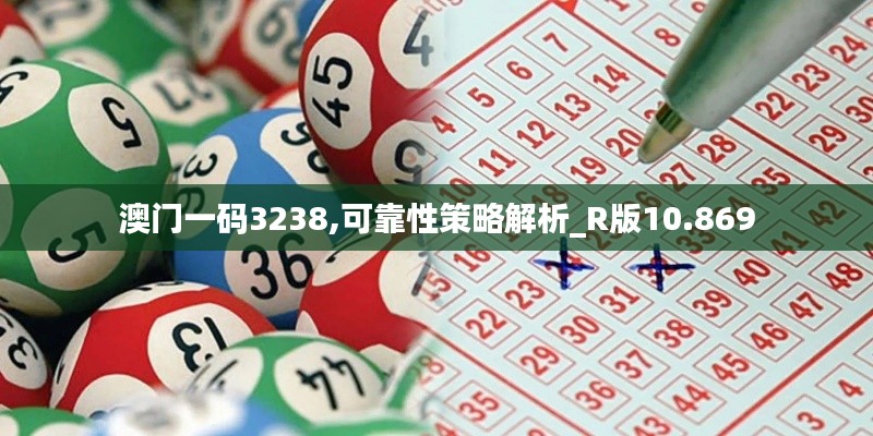 澳门一码3238,可靠性策略解析_R版10.869