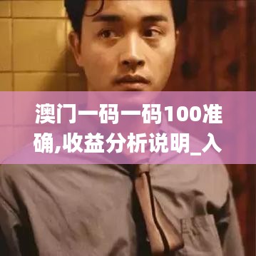 澳门一码一码100准确,收益分析说明_入门版5.903