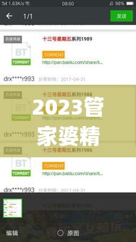 2023管家婆精准号码,资源整合策略实施_S15.394
