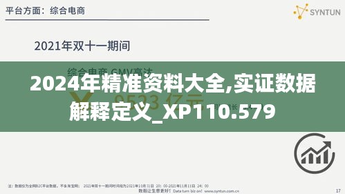 2024年精准资料大全,实证数据解释定义_XP110.579