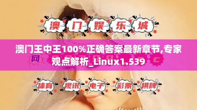 澳门王中王100%正确答案最新章节,专家观点解析_Linux1.539