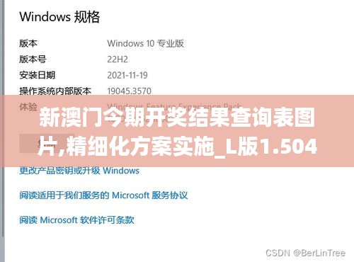 新澳门今期开奖结果查询表图片,精细化方案实施_L版1.504