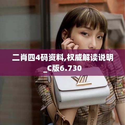 二肖四4码资料,权威解读说明_C版6.730
