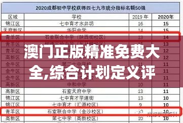 澳门正版精准免费大全,综合计划定义评估_专属款110.850