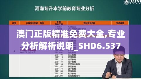 澳门正版精准免费大全,专业分析解析说明_SHD6.537