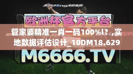 管家婆精准一肖一码100%l？,实地数据评估设计_10DM18.629