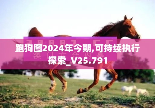 跑狗图2024年今期,可持续执行探索_V25.791