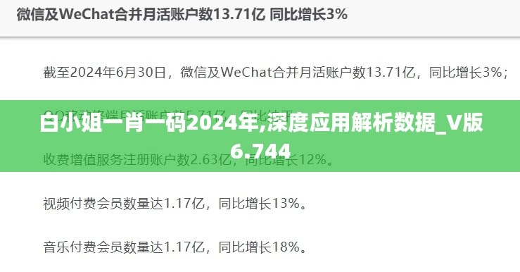 白小姐一肖一码2024年,深度应用解析数据_V版6.744
