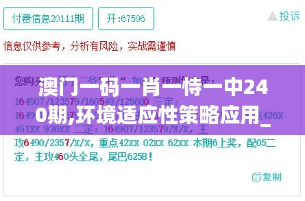 澳门一码一肖一恃一中240期,环境适应性策略应用_X8.542