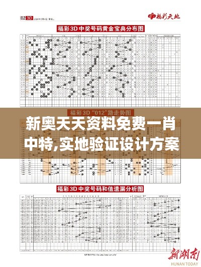 新奥天天资料免费一肖中特,实地验证设计方案_复刻版11.165