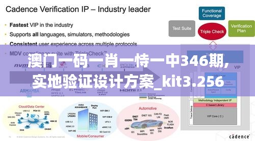 澳门一码一肖一恃一中346期,实地验证设计方案_kit3.256