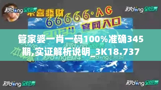 管家婆一肖一码100%准确345期,实证解析说明_3K18.737