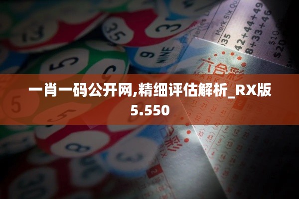 一肖一码公开网,精细评估解析_RX版5.550