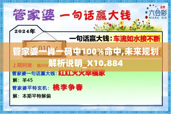 管家婆一肖一码中100%命中,未来规划解析说明_X10.884