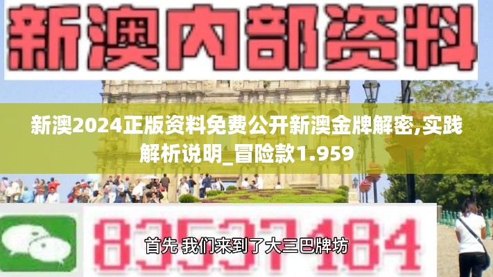 新澳2024正版资料免费公开新澳金牌解密,实践解析说明_冒险款1.959
