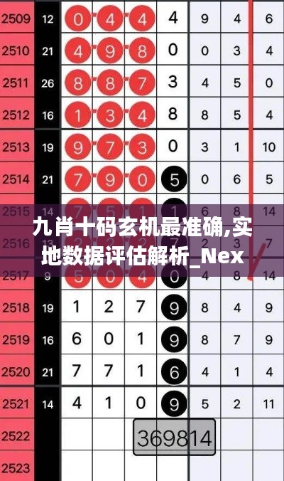 九肖十码玄机最准确,实地数据评估解析_Nexus7.590