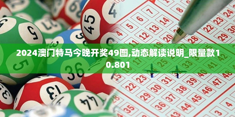 2024澳门特马今晚开奖49图,动态解读说明_限量款10.801