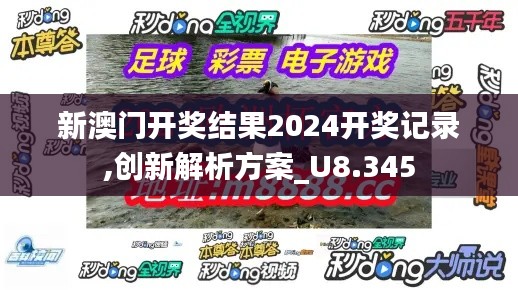新澳门开奖结果2024开奖记录,创新解析方案_U8.345