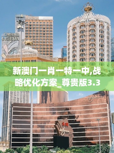 新澳门一肖一特一中,战略优化方案_尊贵版3.355
