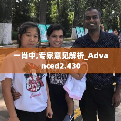 一肖中,专家意见解析_Advanced2.430
