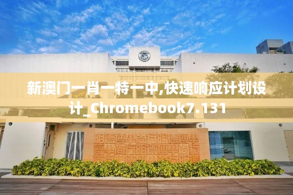 新澳门一肖一特一中,快速响应计划设计_Chromebook7.131