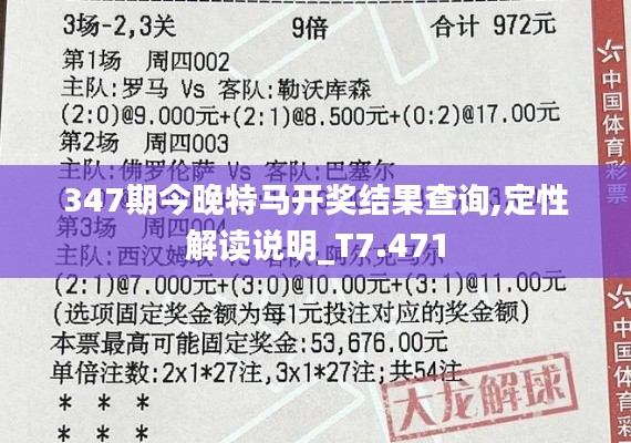 347期今晚特马开奖结果查询,定性解读说明_T7.471