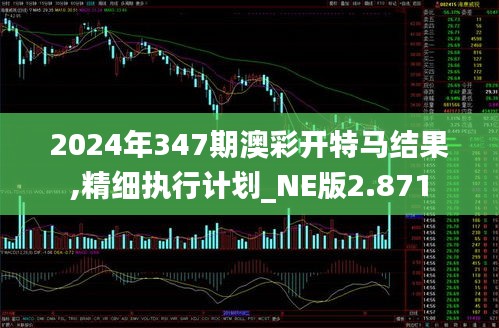 2024年347期澳彩开特马结果,精细执行计划_NE版2.871