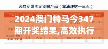 2024澳门特马今347期开奖结果,高效执行计划设计_理财版4.358