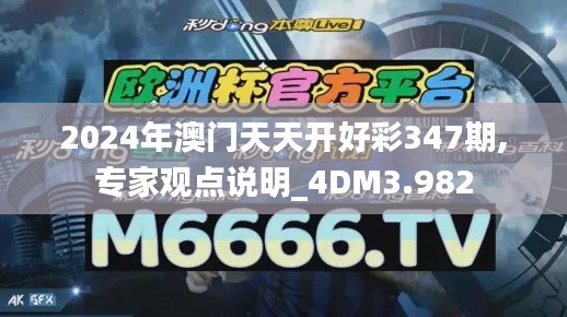 2024年澳门天天开好彩347期,专家观点说明_4DM3.982