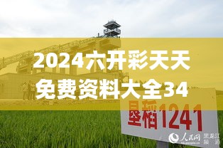 2024六开彩天天免费资料大全347期,实地方案验证_动态版5.375