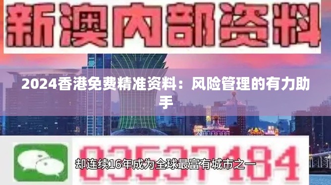 2024香港免费精准资料：风险管理的有力助手