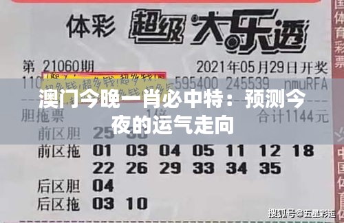 澳门今晚一肖必中特：预测今夜的运气走向