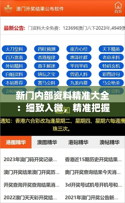 新门内部资料精准大全：细致入微，精准把握市场动态