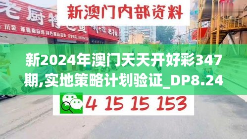 新2024年澳门天天开好彩347期,实地策略计划验证_DP8.244