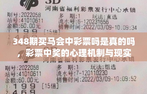 348期买马会中彩票吗是真的吗，彩票中奖的心理机制与现实困境