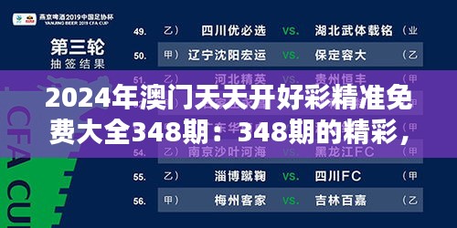 2024年澳门天天开好彩精准免费大全348期：348期的精彩，尽在精准一击