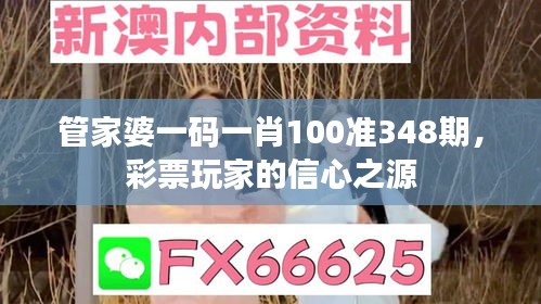 管家婆一码一肖100准348期，彩票玩家的信心之源