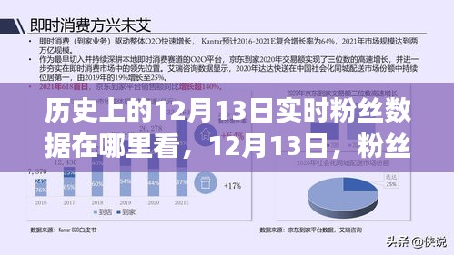 粉丝数据心灵交汇，揭秘历史12月13日的粉丝动态与心灵之旅