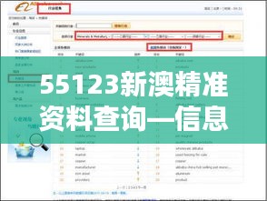 55123新澳精准资料查询—信息时代的关键工具
