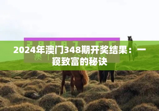 2024年澳门348期开奖结果：一窥致富的秘诀