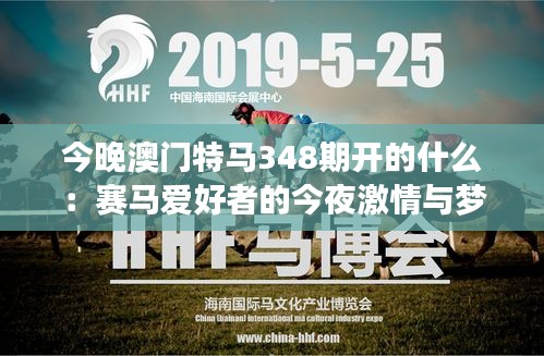 今晚澳门特马348期开的什么：赛马爱好者的今夜激情与梦想
