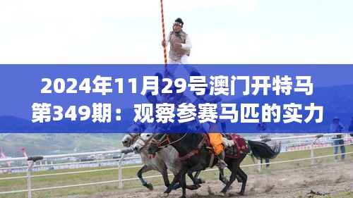 2024年11月29号澳门开特马第349期：观察参赛马匹的实力对比