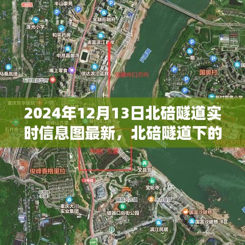 气宇轩昂 第3页